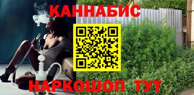мяу мяу мука Кингисепп