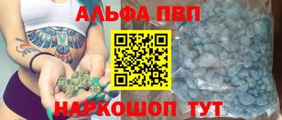 мяу мяу мука Кингисепп
